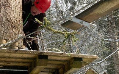 Travaux de remise en état dans un parc aventure