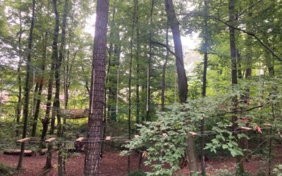Nouveau parc aventure à Porrentruy